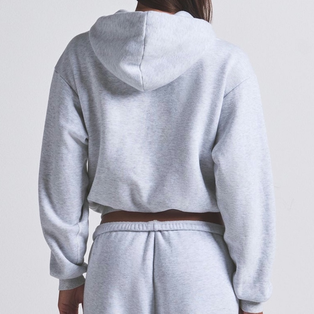 NWT Skims Cotton Fleece Classic Hoodie Sweatshirt - Picture 3 of 3